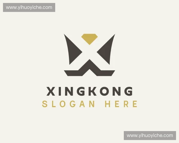 关于xingkong中国官网